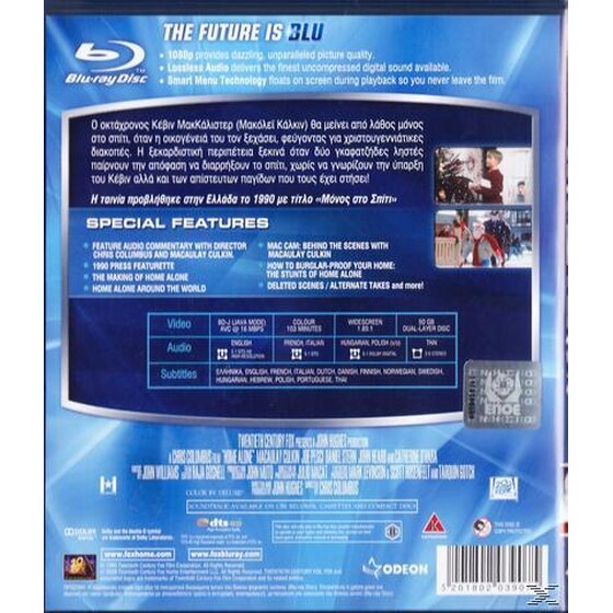 Home Alone image 2