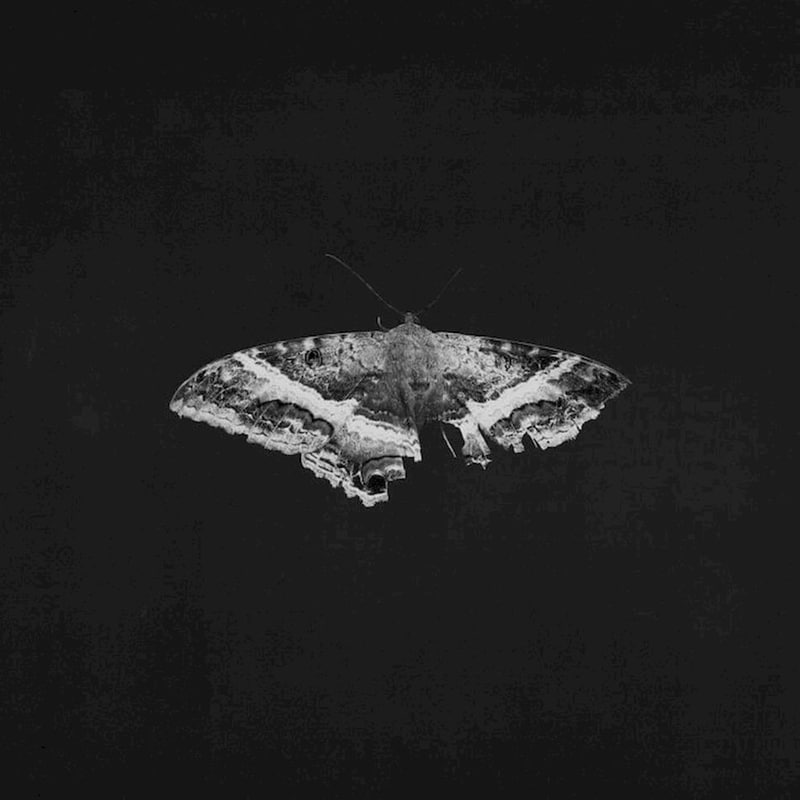 To Pimp A Butterfly (2LP) (Anniversary Edition)