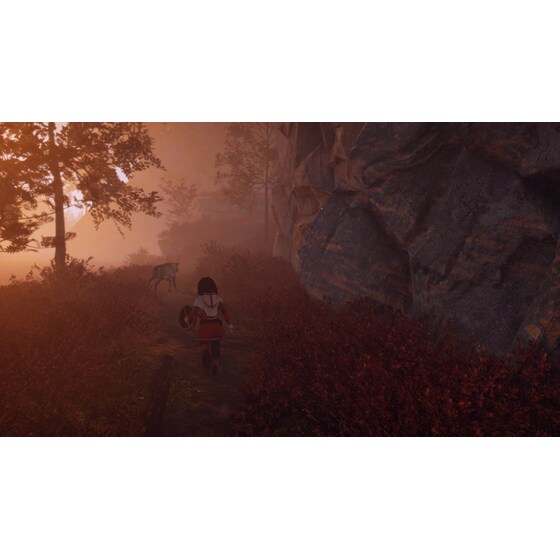 Skabma: Snowfall - PS4 image 11