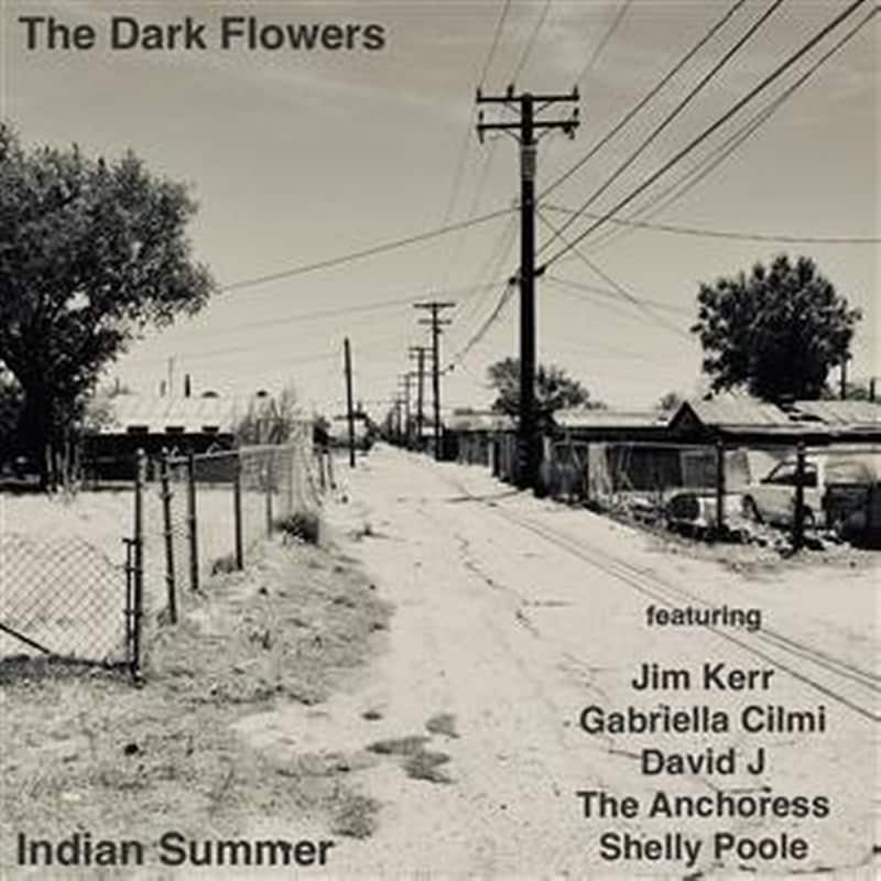 Indian Summer (Clear Vinyl)