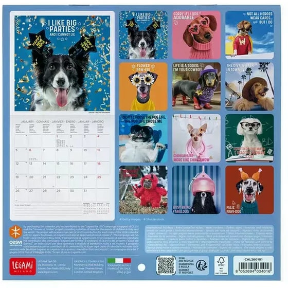 Ημερολόγιο Τοίχου Legami 2026 Supawstar 18x18cm image 2