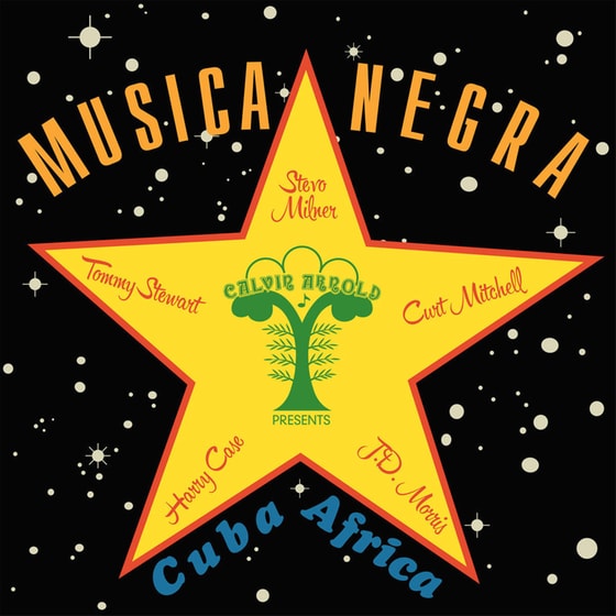Musica Negra image 0