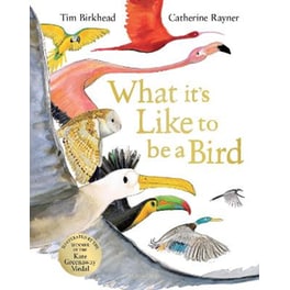 What it's Like to be a Bird