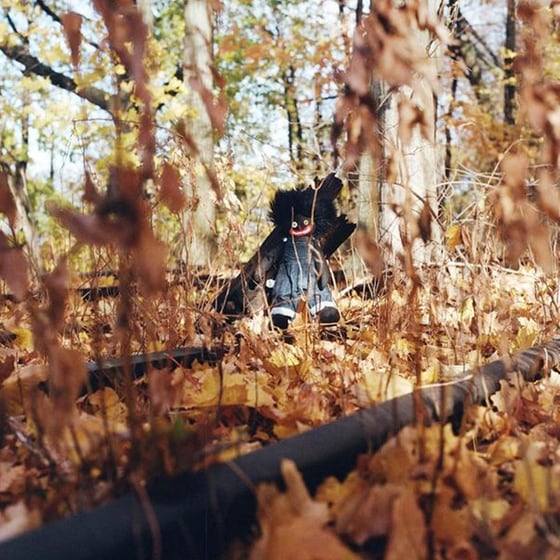 Golliwog (2LP) image 0