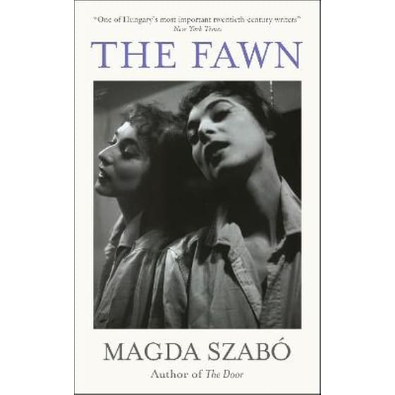 Fawn image 0