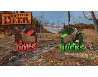 Big Buck Hunter Arcade - PS4 image 20