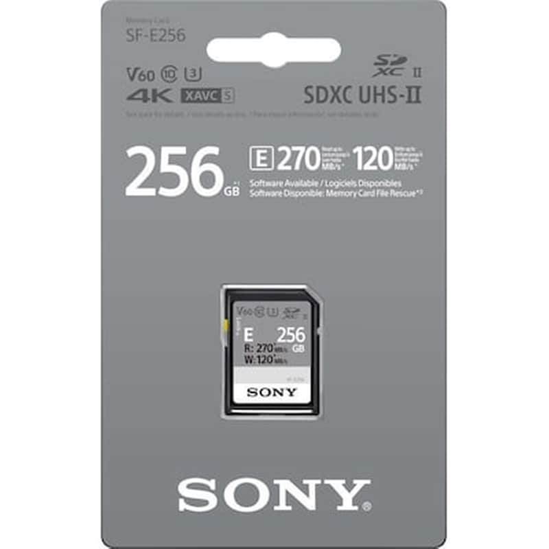 Sony SF-E Series SDXC 256GB Class 10 U3 V60 UHS-II φωτογραφία