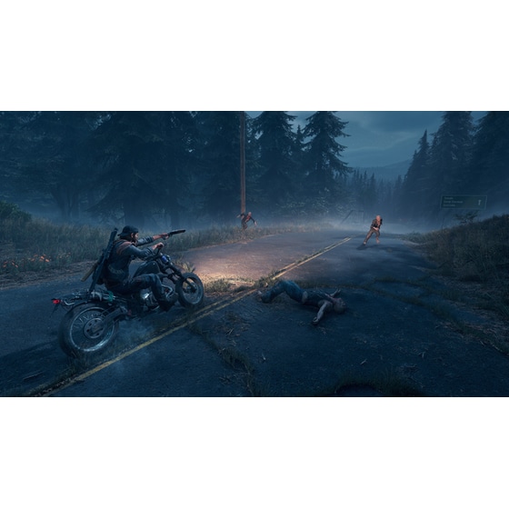 Days Gone - PS4 image 5