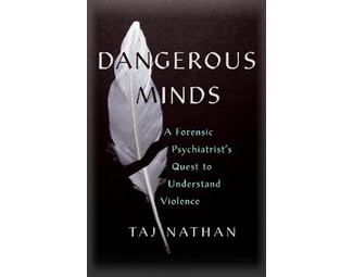 Dangerous Minds image 0