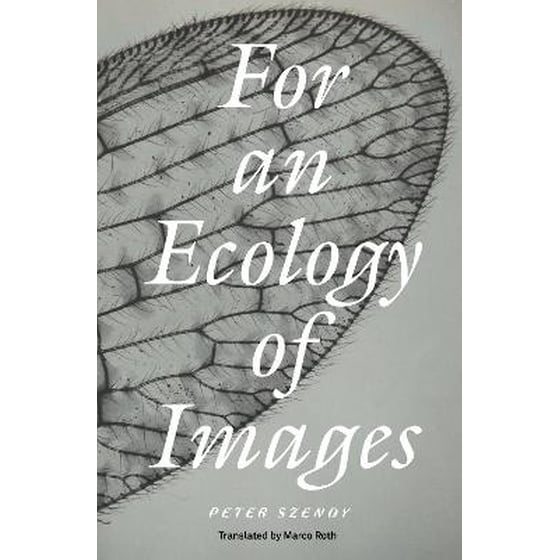 For an Ecology of Images image 0