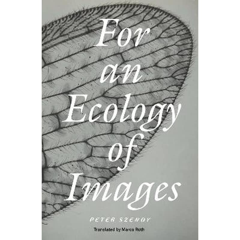 For an Ecology of Images