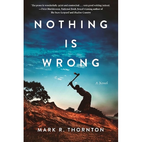 Nothing Is Wrong image 0