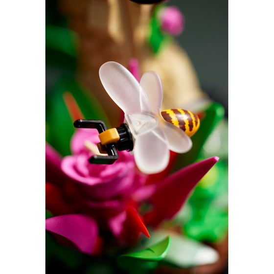 LEGO®Ideas The Insect Collection (21342) image 17