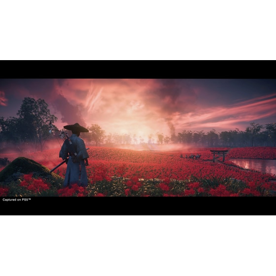 Ghost of Tsushima - PS4 image 4