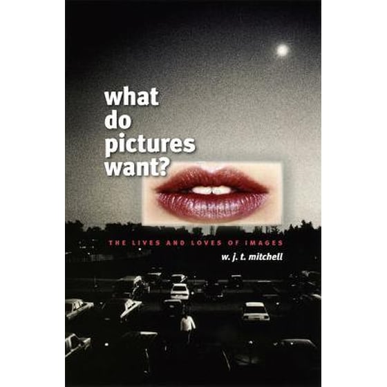 What Do Pictures Want? image 0
