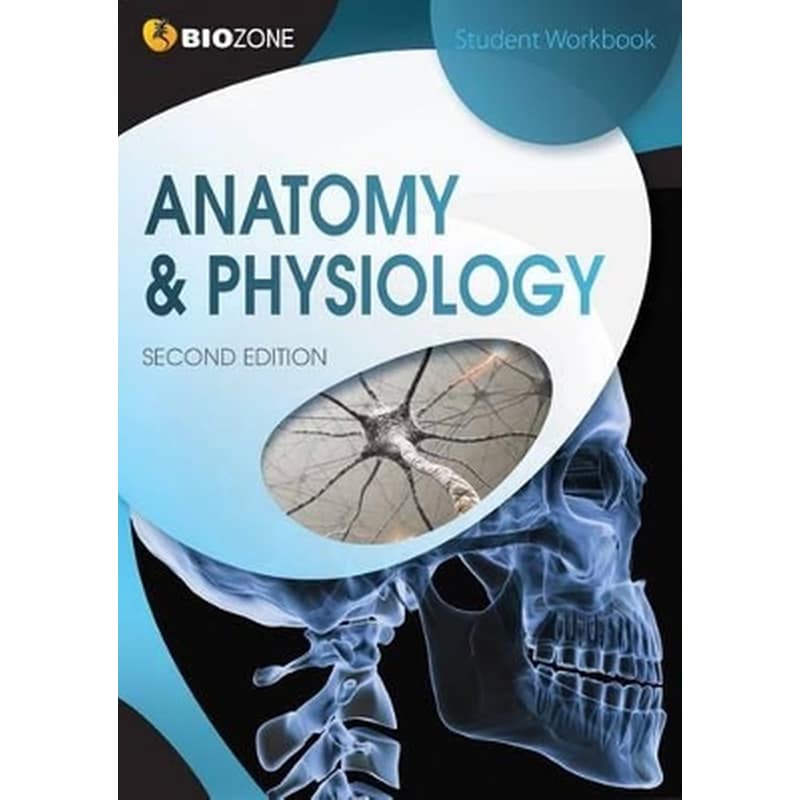 Anatomy Physiology
