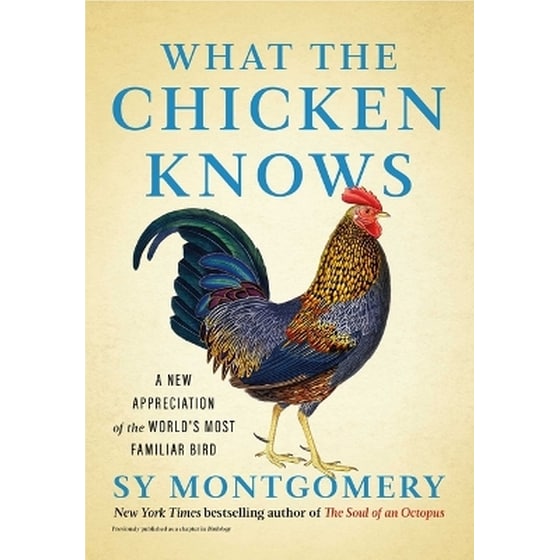 What the Chicken Knows image 0