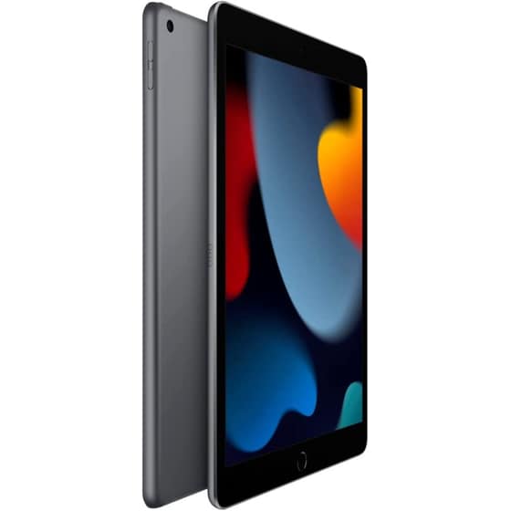 Apple iPad 9th Gen 256GB Cellular - Space Grey image 3