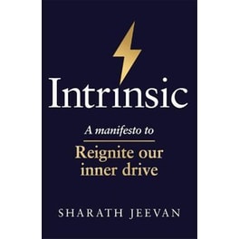 Intrinsic : A manifesto to reignite our inner drive