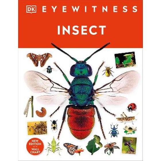 Insect image 0
