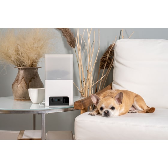 Petcube WRL Ταΐστα με Κάμερα για Κατοικίδια Bites 2 Lite image 7