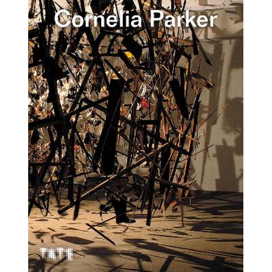Cornelia Parker image 0