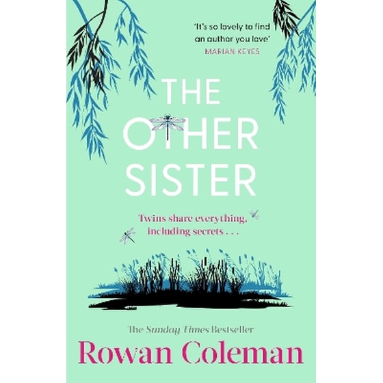 The Other Sister image 0