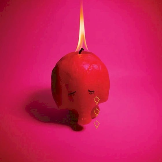 Pink Elephant (LP) image 0
