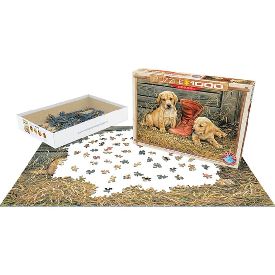 Παζλ Eurographics Something Old Something New by Rosemary Millette (1000 Κομμάτια) image 1