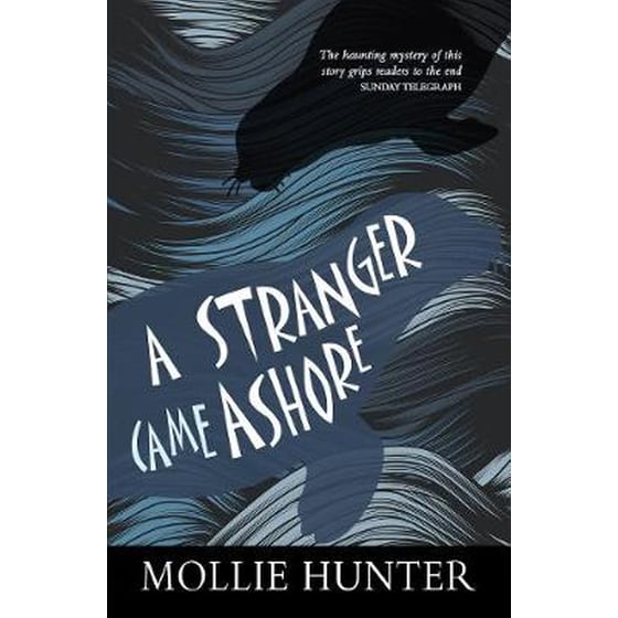 A Stranger Came Ashore image 0