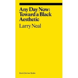 Any Day Now: Toward a Black Aesthetic
