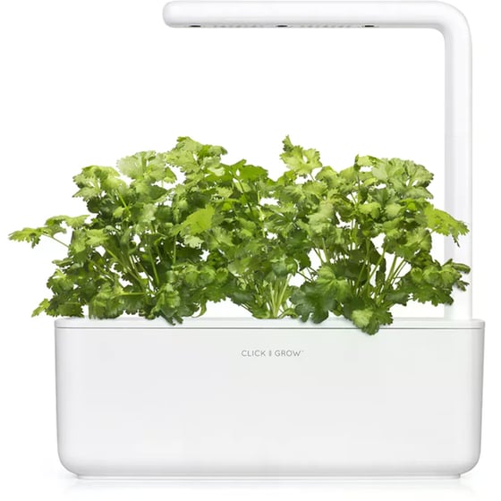 Κάψουλες Click and Grow 3 Τμχ - Κόλιανδρος image 1