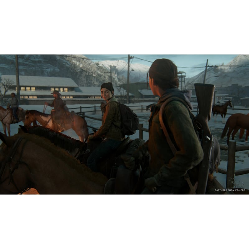 The Last Of Us Part 2 II Special Editi PS4 PS5 Inglês Português CIB FREE  REGION 711719339304