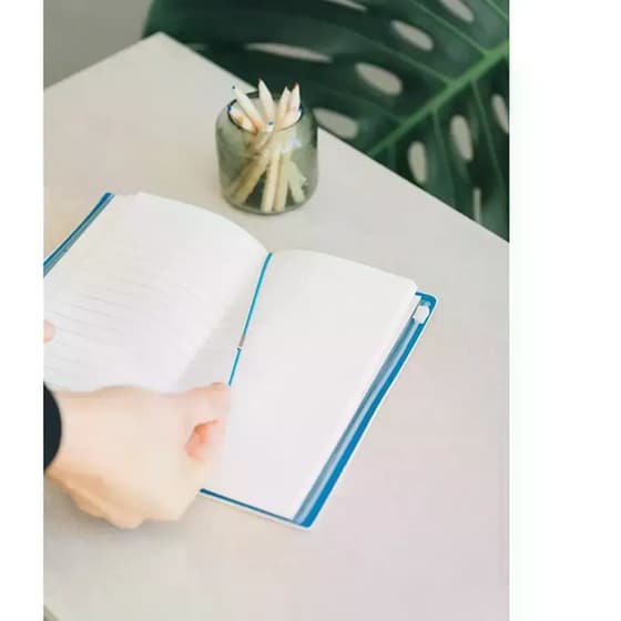 Ταξιδιωτικό Τετράδιο με Δερματίνη Disney Η Αλίκη Στη Χώρα Των Θαυμάτων image 5