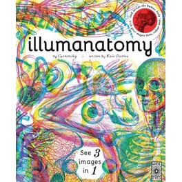 Illumanatomy