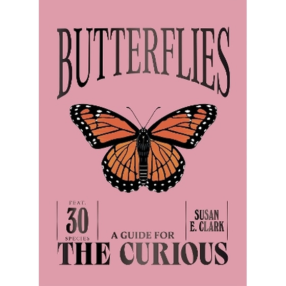Butterflies image 0