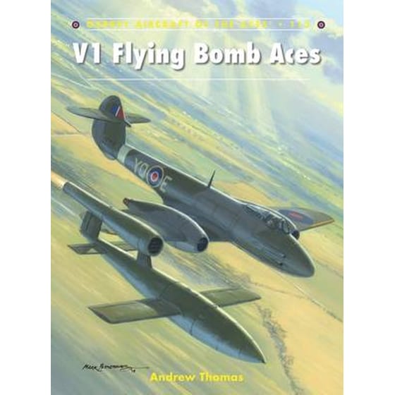 V1 Flying Bomb Aces image 0