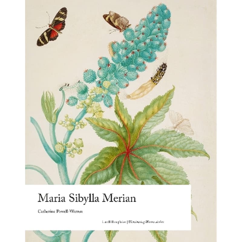 Maria Sibylla Merian