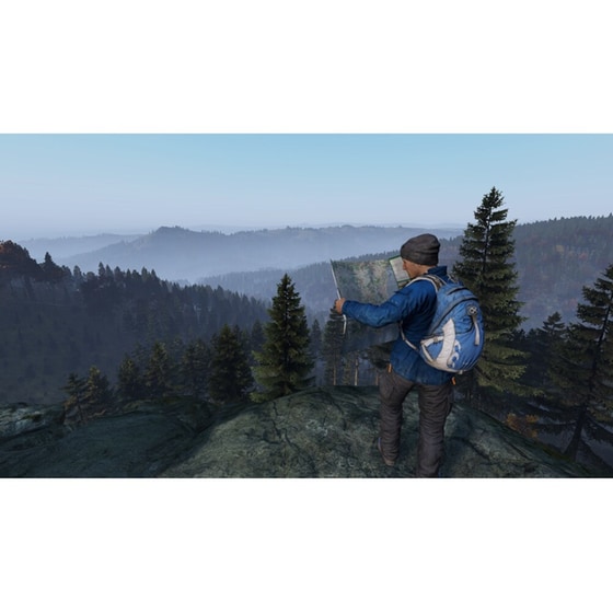 DayZ - PS4 image 5