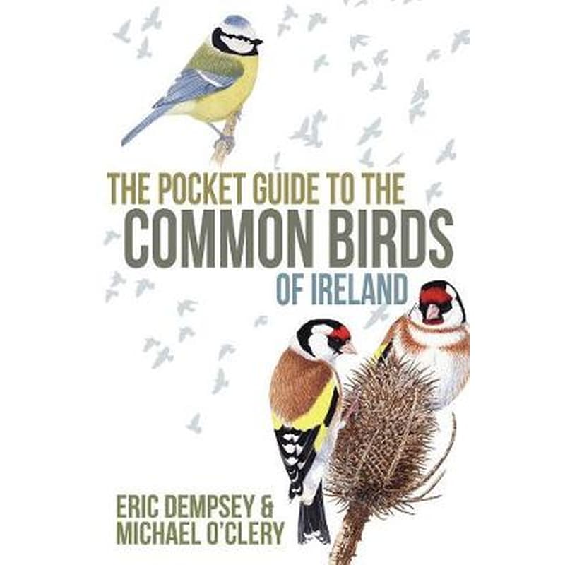 The Pocket Guide to the Common Birds of Ireland