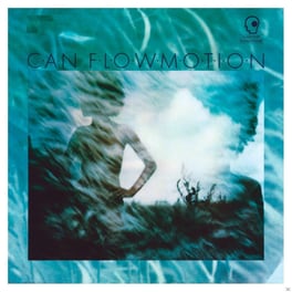 Flow Motion