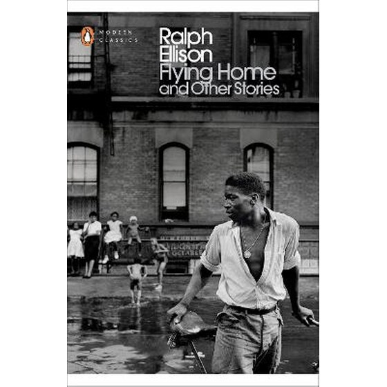Flying Home And Other Stories image 0