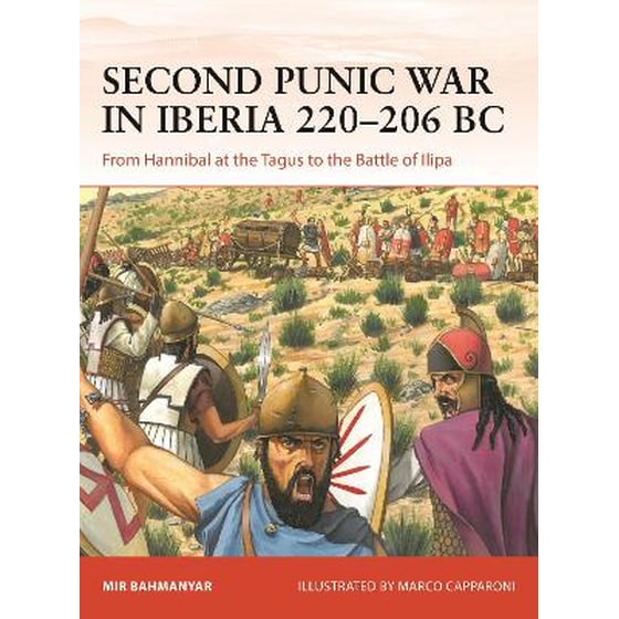 Second Punic War in Iberia 220–206 BC image 0