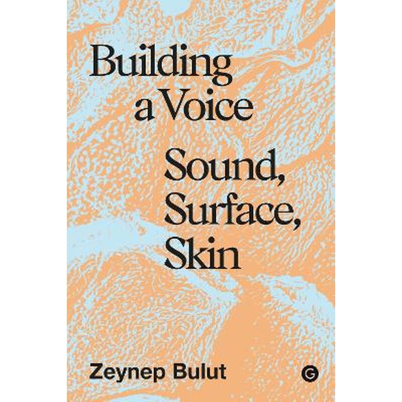 Building a Voice
