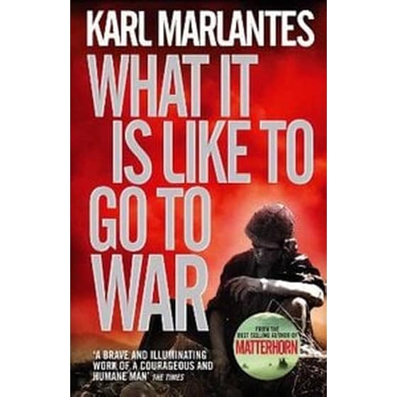 What It Is Like To Go To War image 0