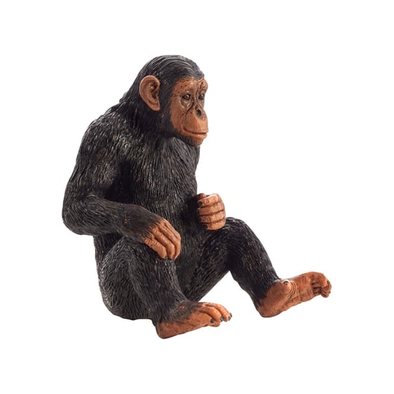 Χιμπατζής Animal Planet (L) image 0