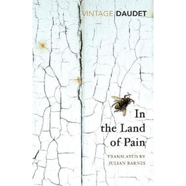 In the Land of Pain