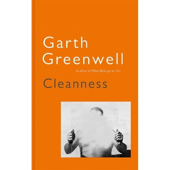 Cleanness image 0