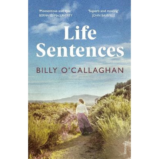 Life Sentences: the unforgettable Irish bestseller image 0