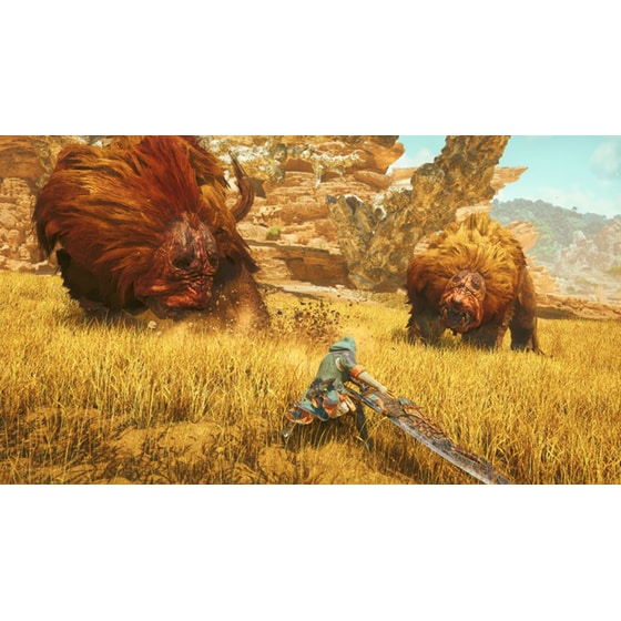 Monster Hunter Wilds - PS5 Used image 9